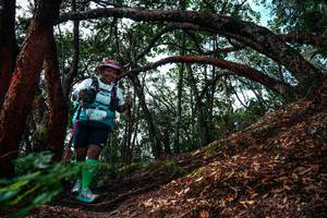 BIB: 
                            <button type="button" onclick="openModal(26346991)" class="btn btn-primary btn-sm float-right btn-popup" data-toggle="modal" data-target=".modal-high-quality">
                        <i class="fas fa-shopping-cart"></i> Add to Cart
                    </button>
                                            <button type="button" onclick="isThisMe(26346991, true)" class="btn btn-success btn-sm float-right btn-popup btn-isme hidden" data-toggle="tooltip" data-placement="bottom" title="นี่คือรูปของคุณใช่ไหม คลิกที่นี่เพื่อเอาเข้าอัลบั้ม">
                        <i class="fas fa-plus"></i> Add to album
                    </button>
                    <button type="button" onclick="isThisMe(26346991, false)" class="btn btn-warning btn-sm float-right btn-popup btn-isnotme hidden">
                        <i class="fas fa-ban"></i> Remove from album
                    </button>